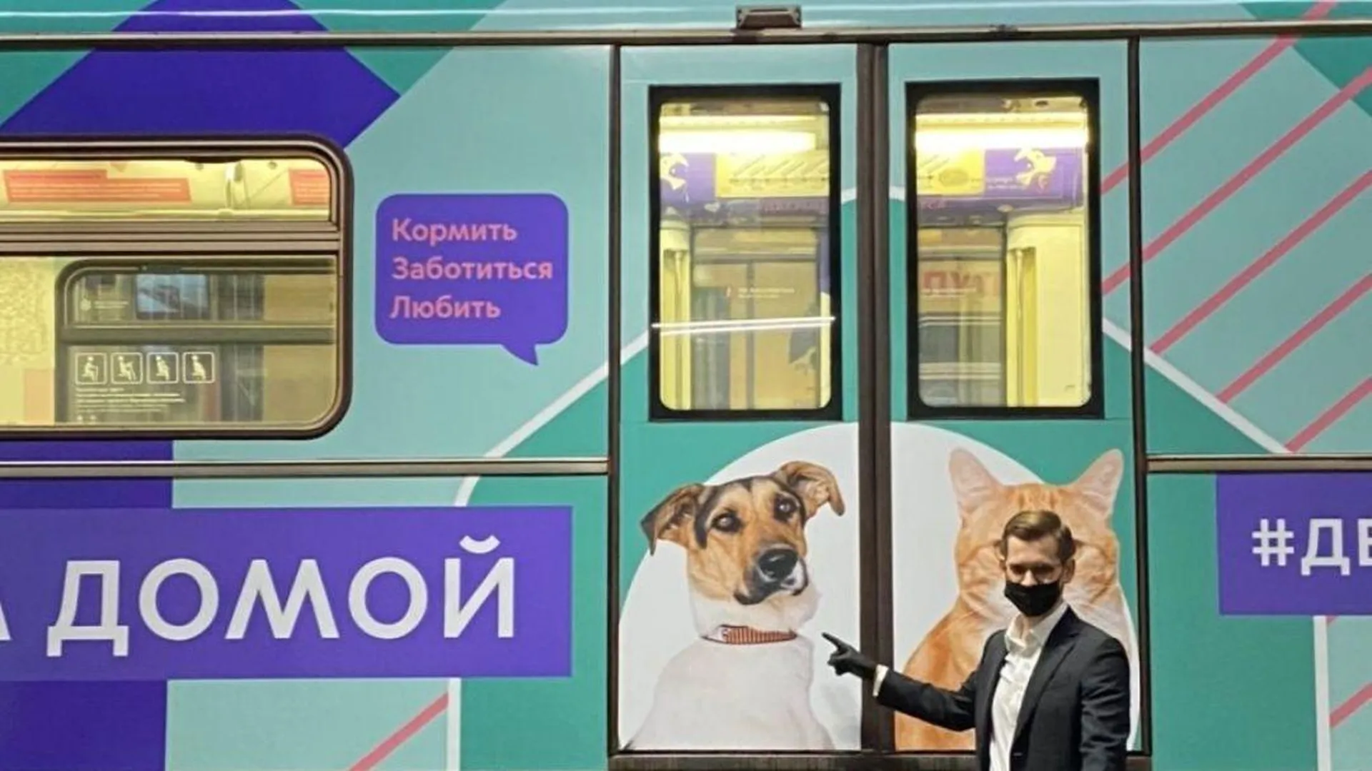 Фотографии подопечных центра бездомных животных «Юна» украсили поезд метро  | РИАМО в Подольске