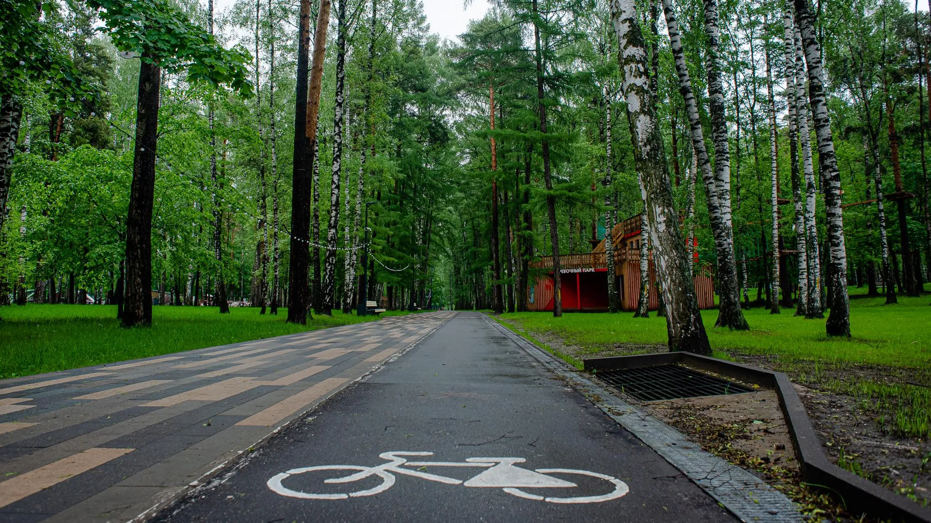 Парк пехорка московская область. Парк им лямина. Ольгинский лесопарк, подмосковье. Парки подмосковья логотип брендбук. Необычные парки.