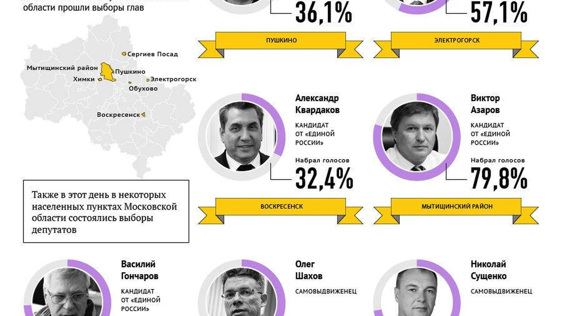 Выборы в Московской области