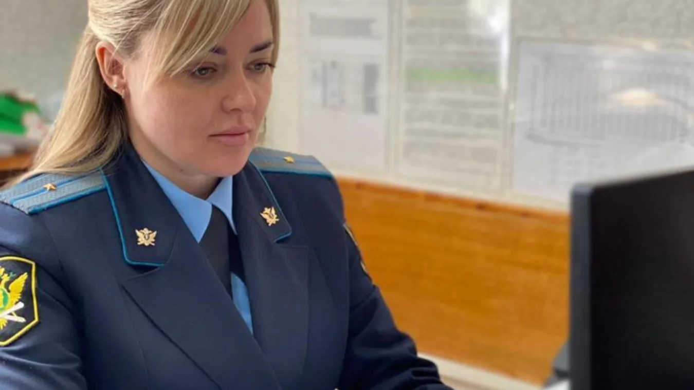 Приставы Подмосковья рассказали о том, что такое исполнительский сбор