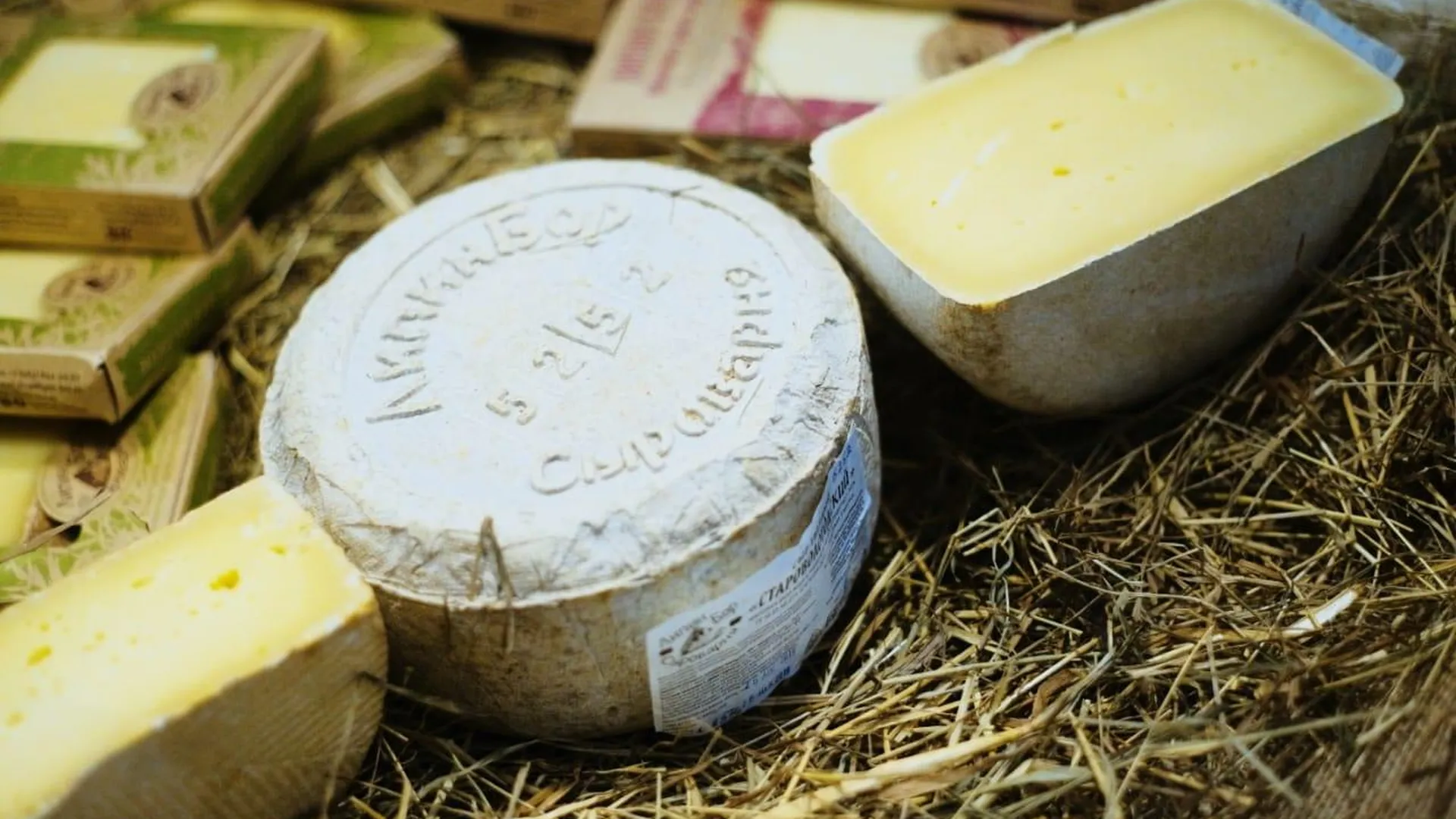 Завод по производству сыров появится в Наро‑Фоминском округе