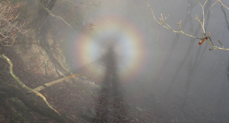В горах Сочи заметили оптическую иллюзию «Броккенский призрак»