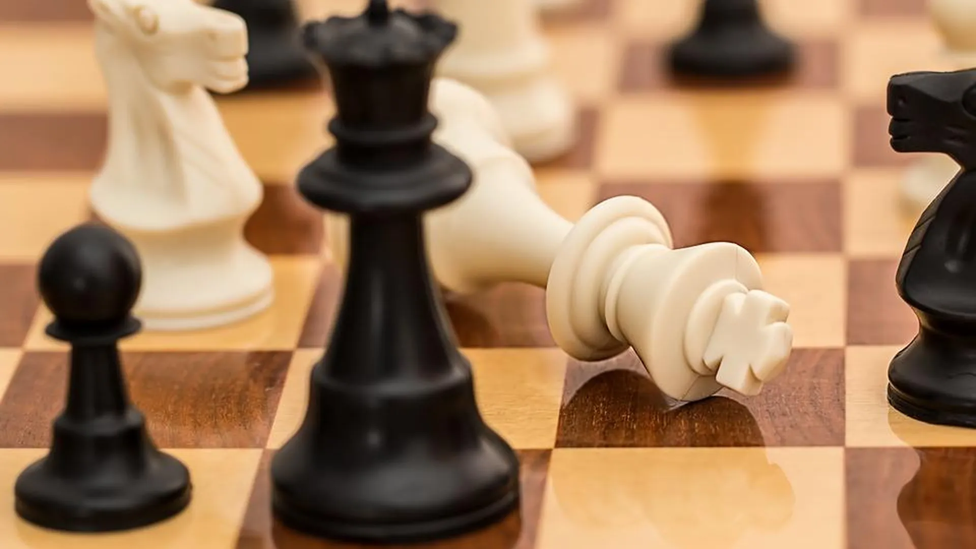 Более 40 спортсменов поучаствовали в шахматном турнире в Мытищах