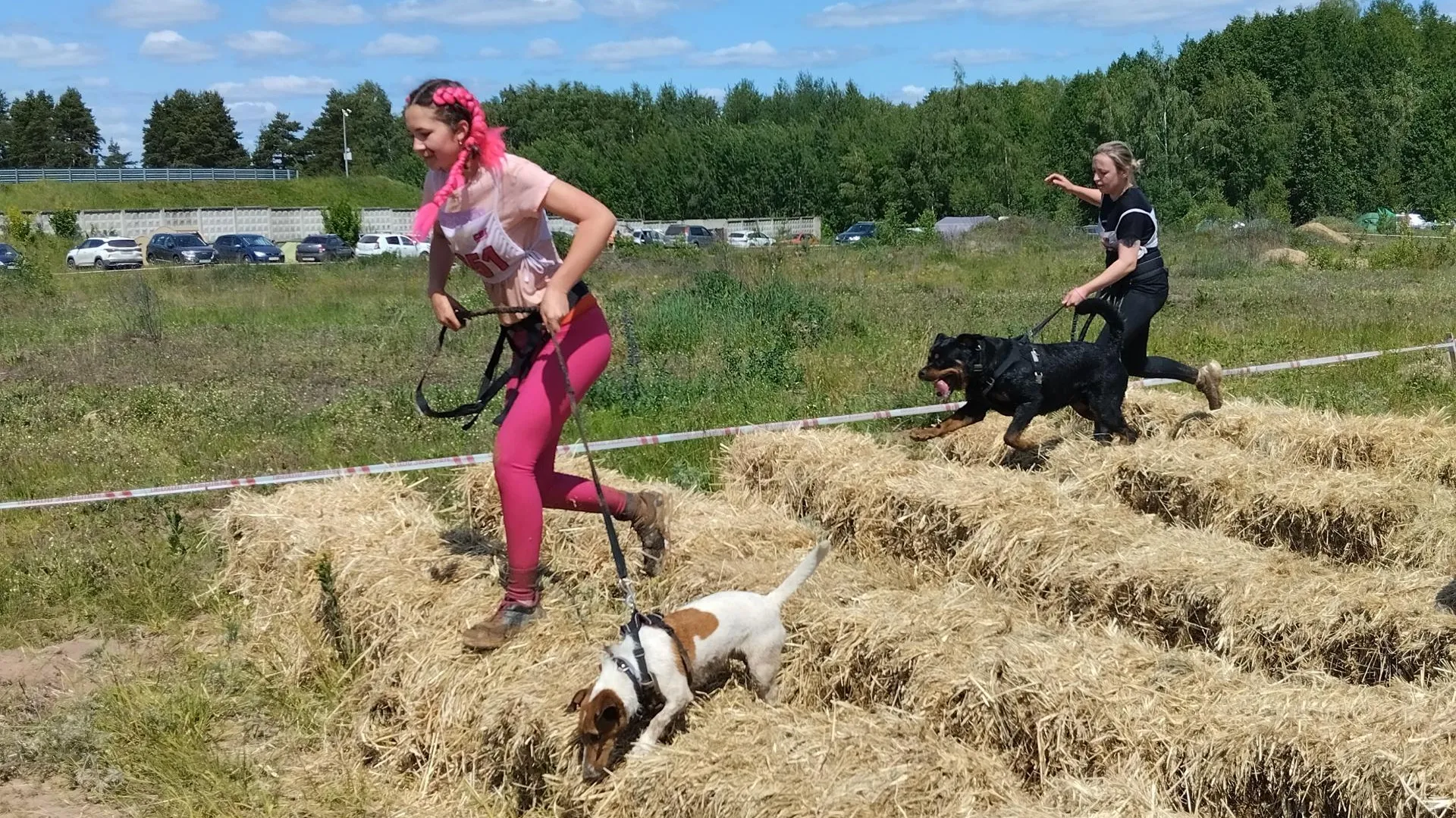 В Подмосковье прошла самая крупная российская экстремальная гонка с собаками