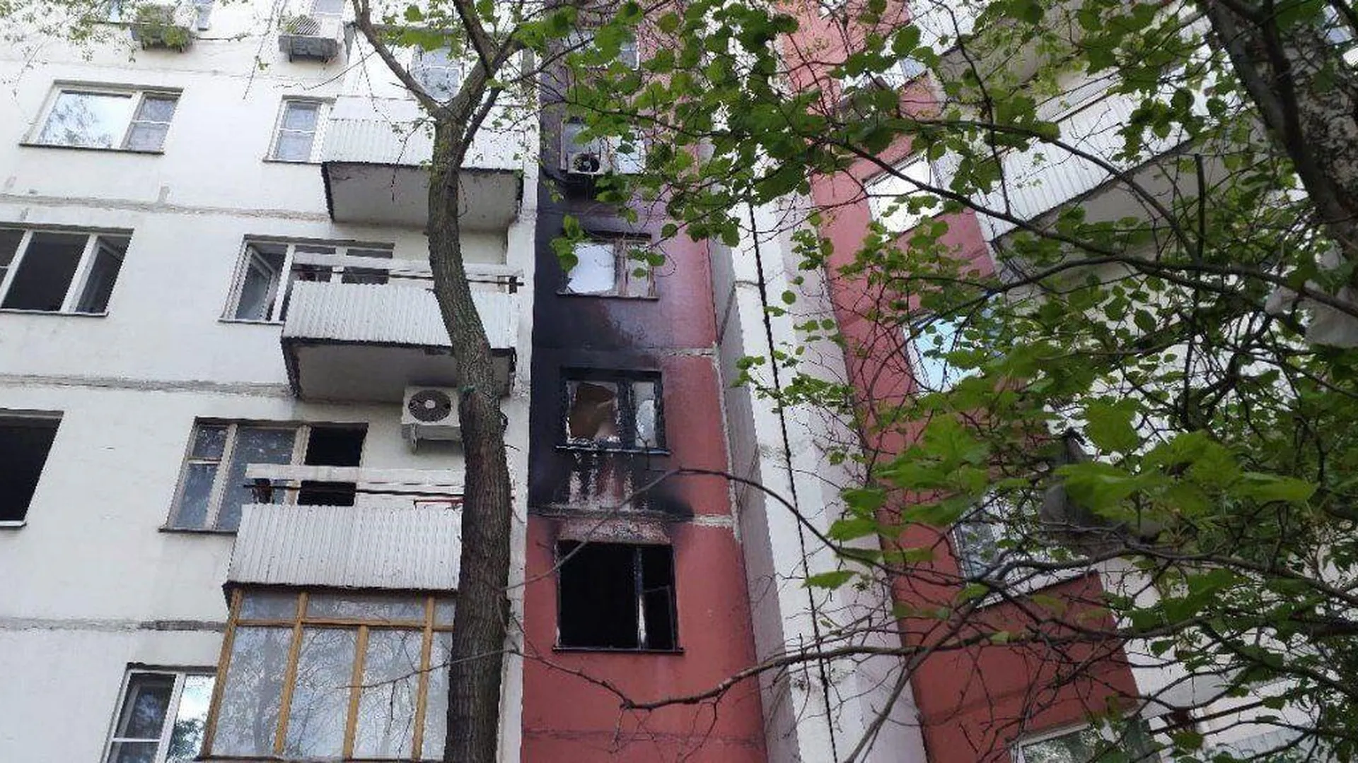 Женщина погибла при пожаре в квартире на юге Москвы