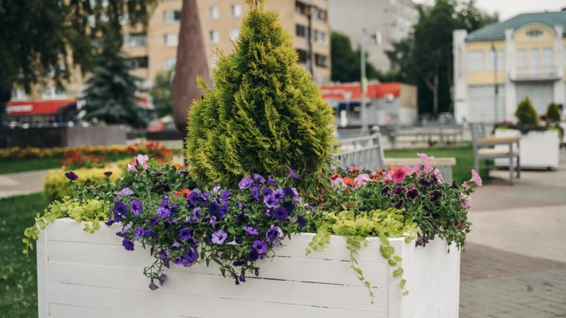 Более 97 тыс цветов высадят на клумбах и улицах Щелкова в этом году