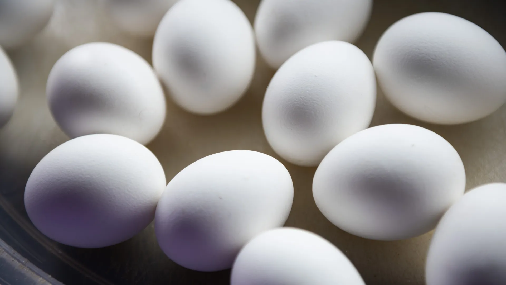 ФАС заявила о тенденции к снижению цен на яйца в России