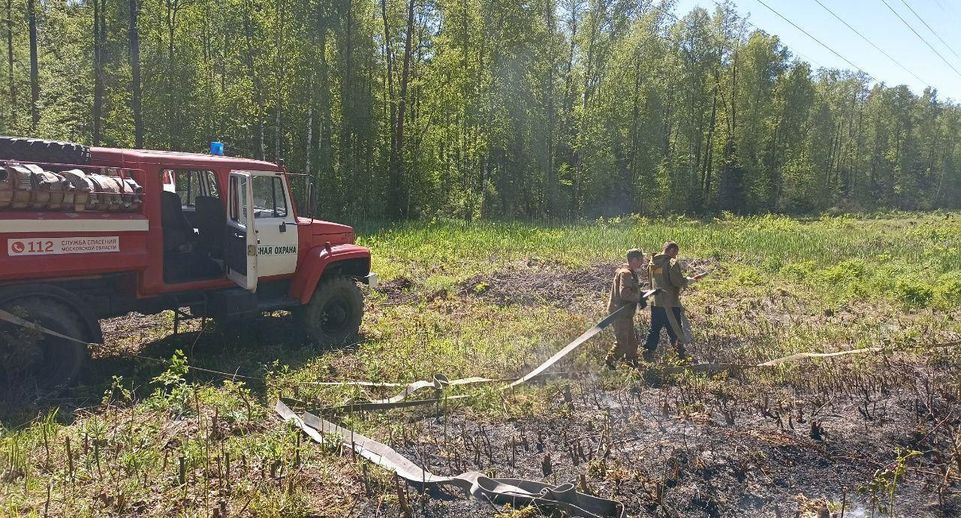 Жителям Подмосковья рассказали о лесопожарной обстановке в регионе на 24–26 мая