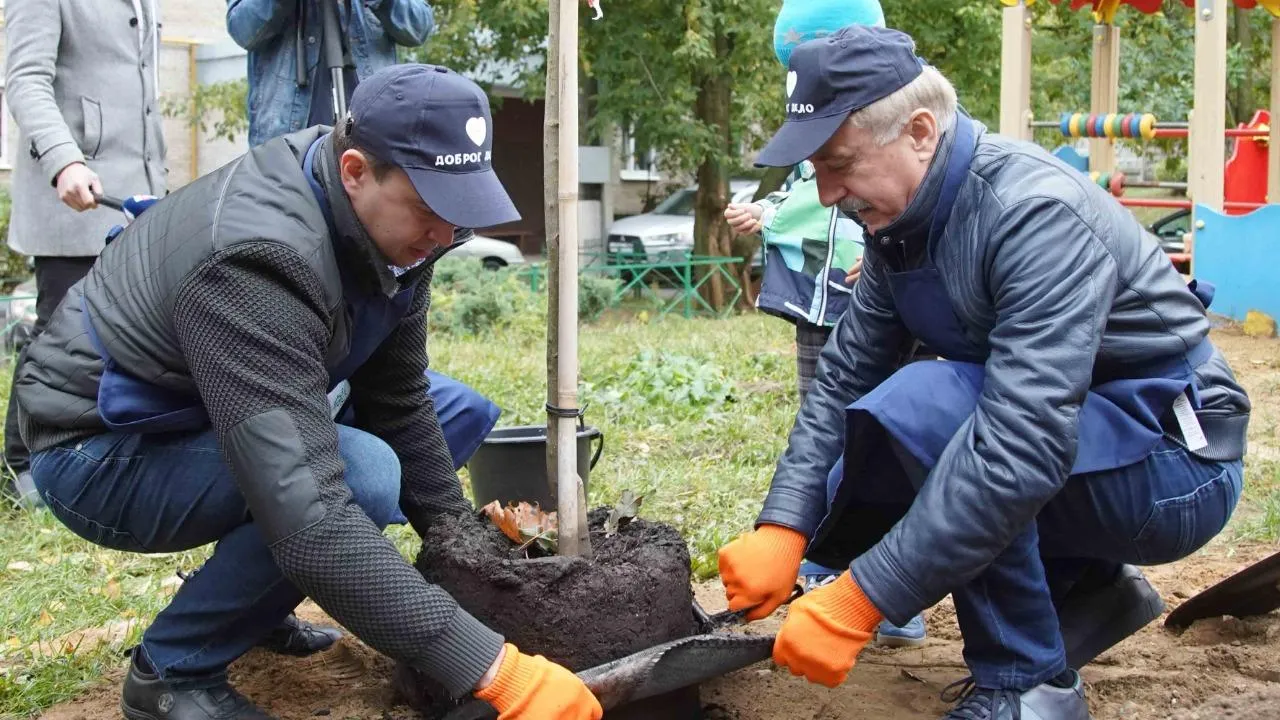 Около 6,7 тыс кустарников и деревьев высадили в Люберцах в рамках экоакции