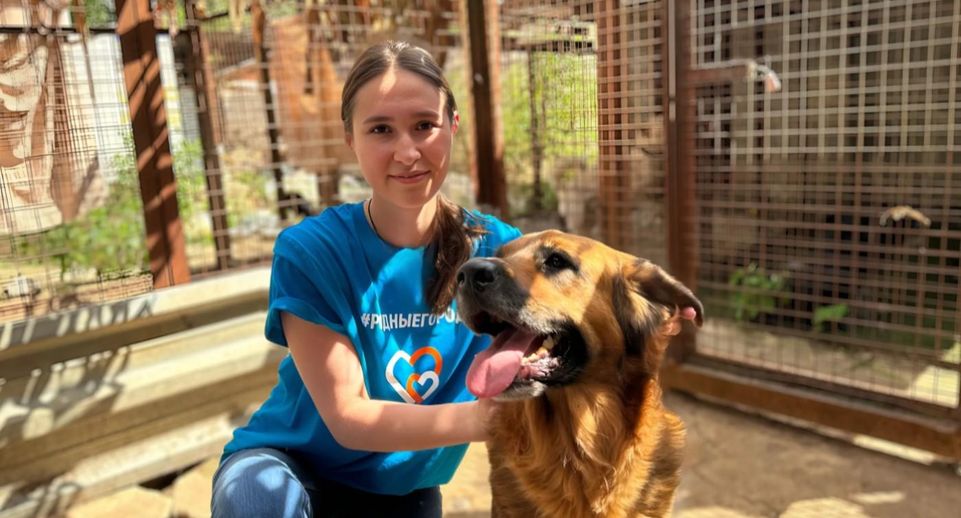 В московском приюте для животных прошла волонтерская акция