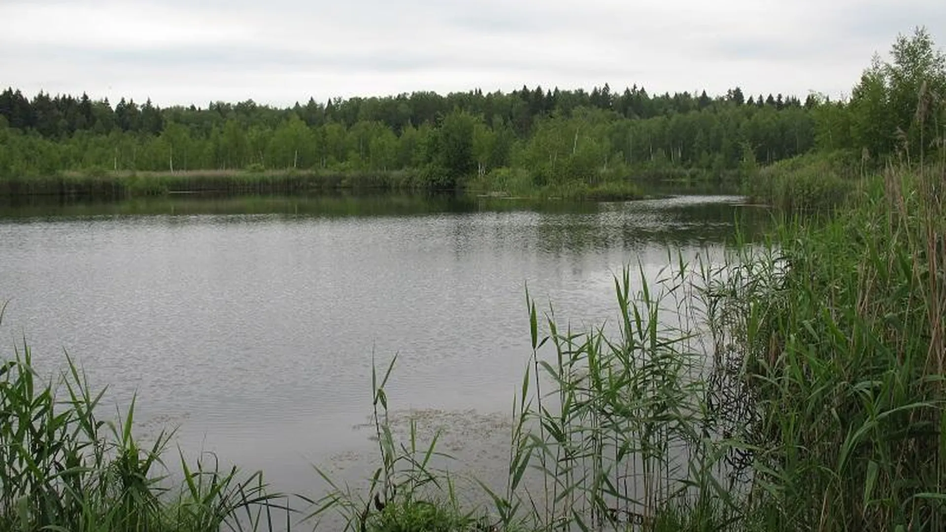 Три озера в Подмосковье получили новый статус и усиленный охранный режим