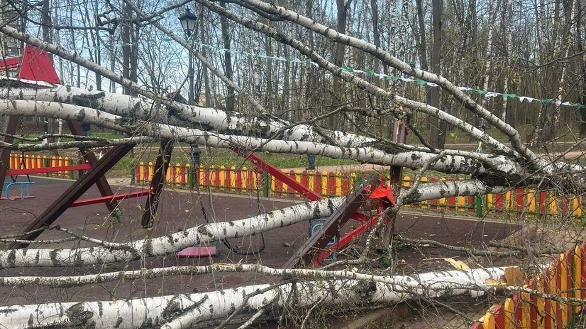 Упавшее дерево едва не убило 2-летнюю девочку в Красногорске