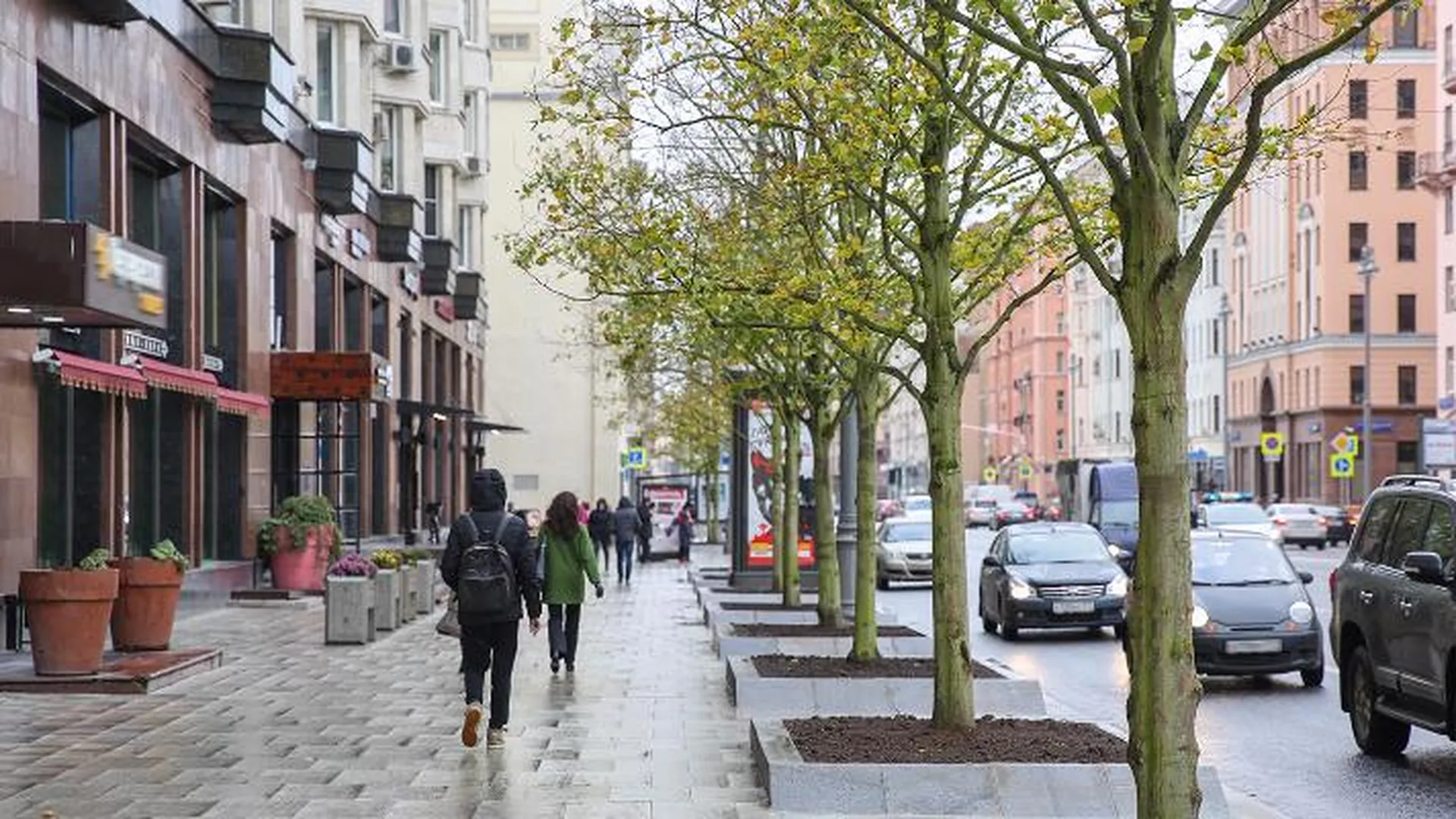3 тыс деревьев уже высадили в Москве по программе городского благоустройства