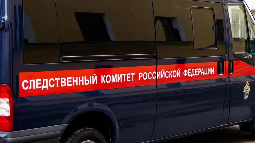 СК проверит информацию о нападениях этнической банды подростков в Москве