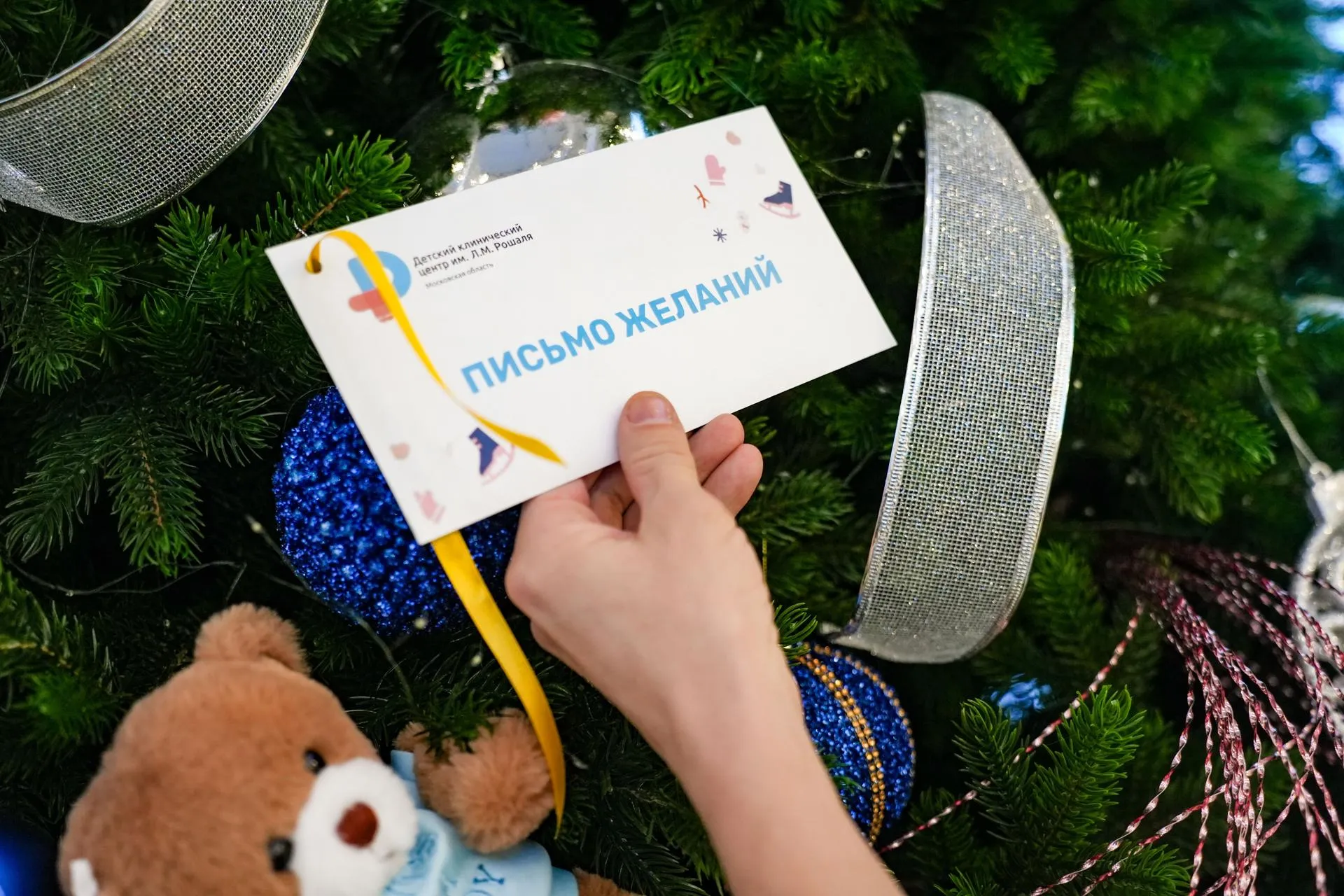 Александра Степанова