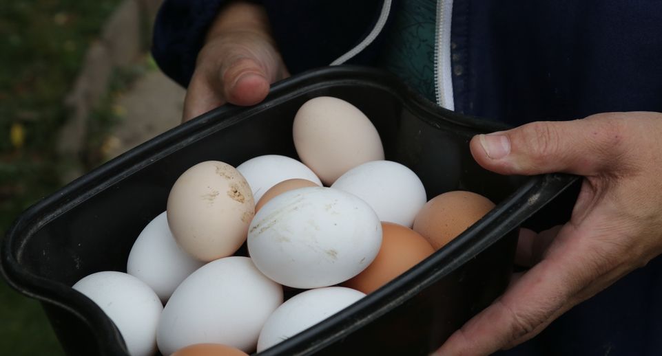 Baza: в Екатеринбурге люди лижут куриные яйца в магазинах в надежде отравиться