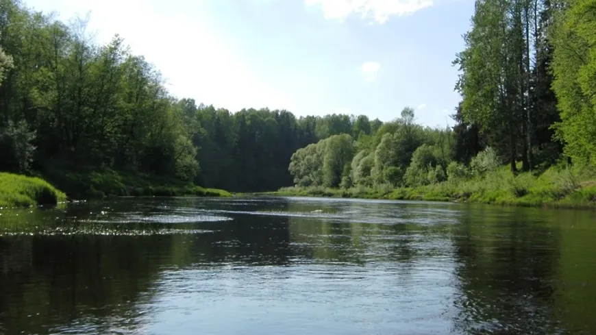 В Сергиево‑Посадском округе проверят информацию о загрязнении реки Куньи