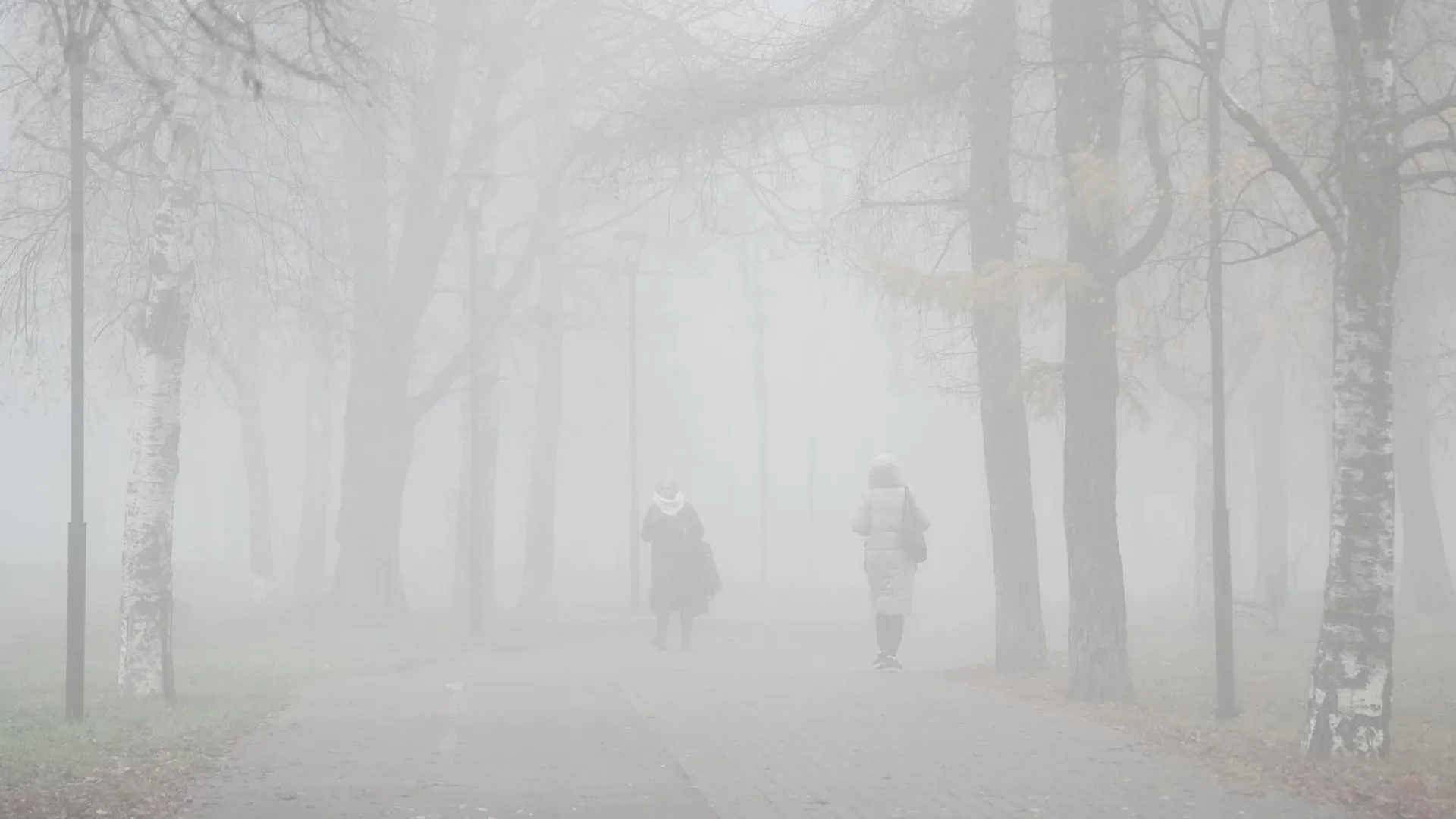 Сайлент Хилл в Москве: как пользователи сети отреагировали на туман