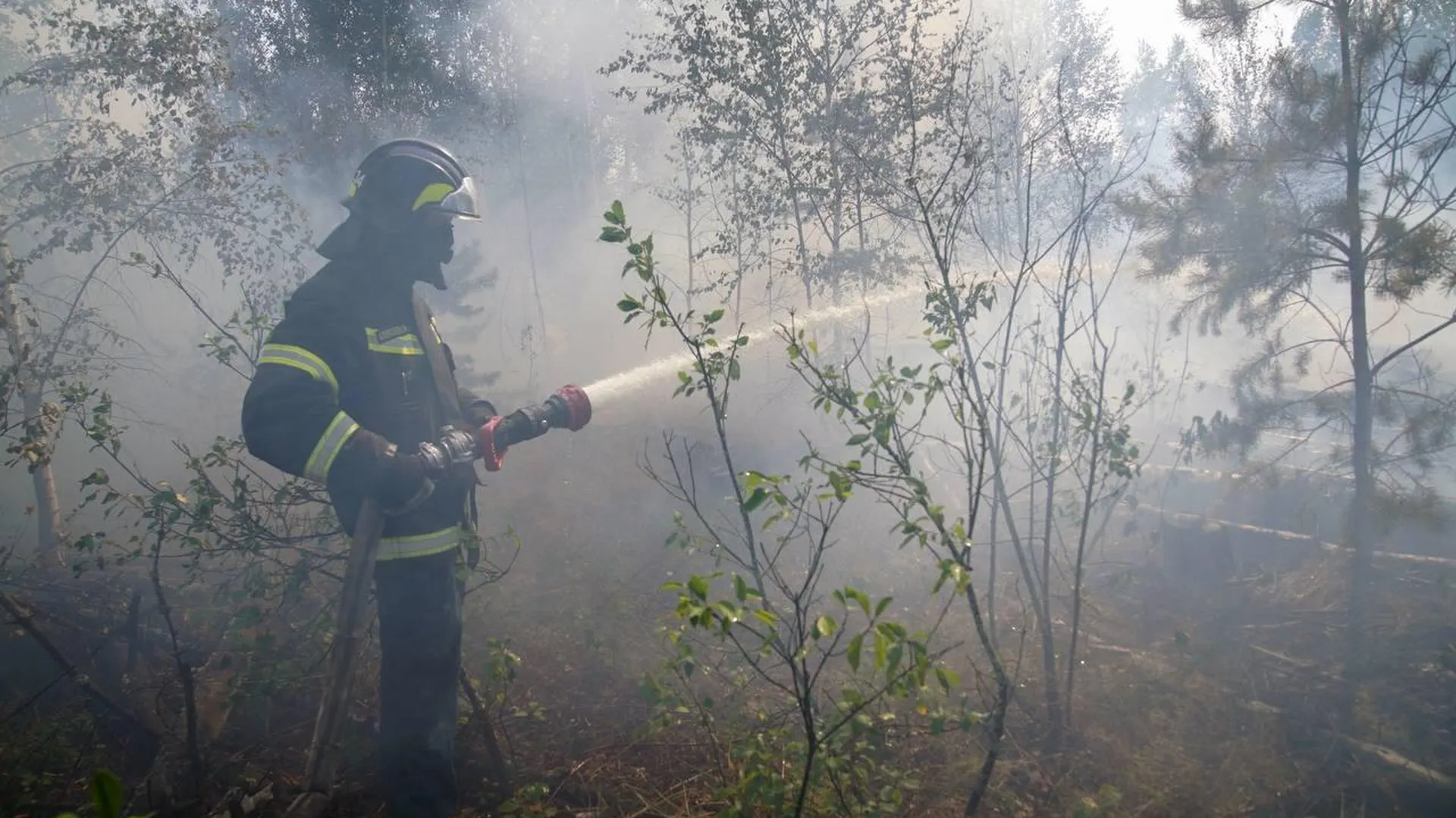 Лесные пожары в Рязанской области могут потушить в течение недели