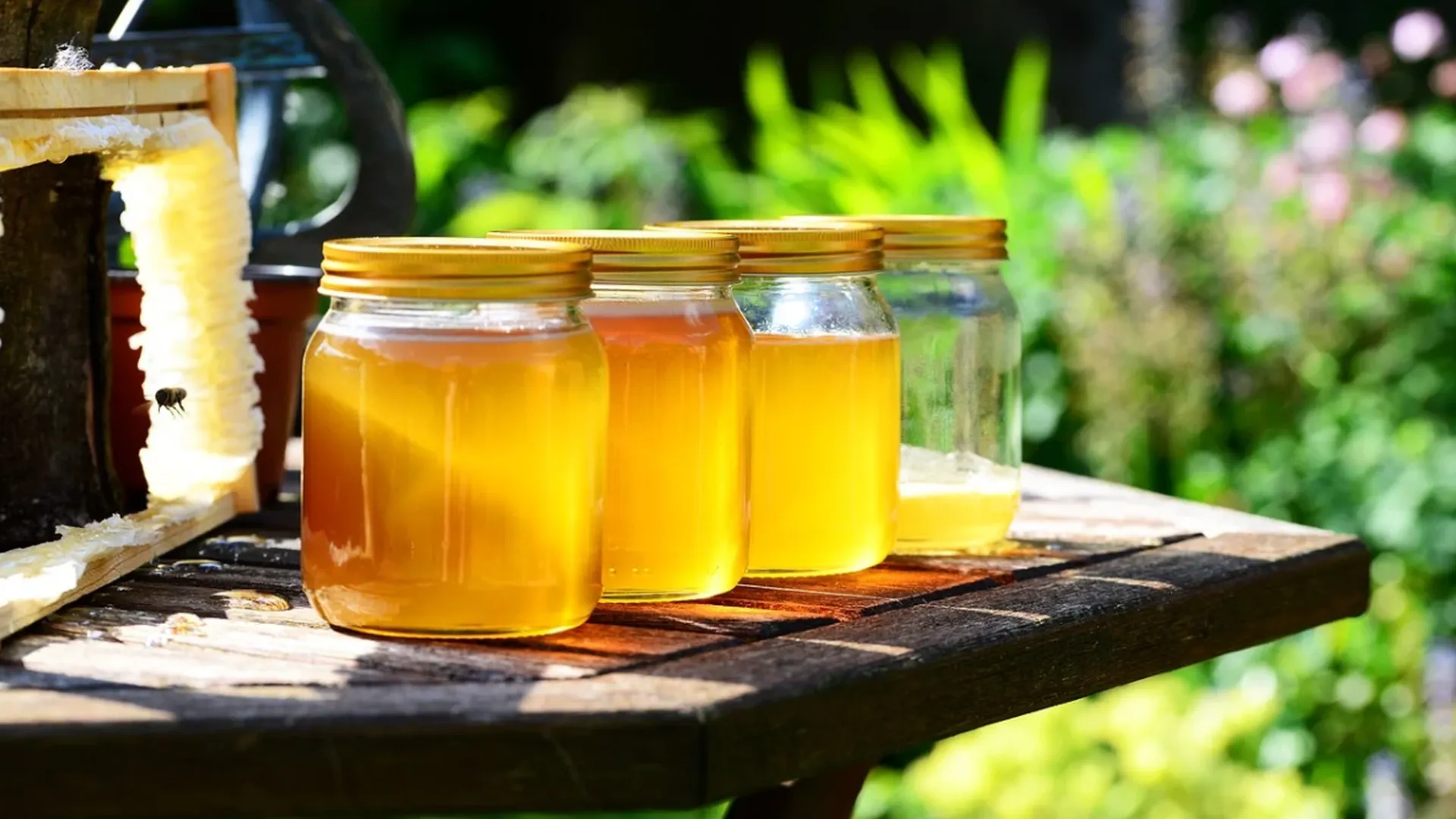 Технолог Третьякова пояснила, как правильно хранить мед