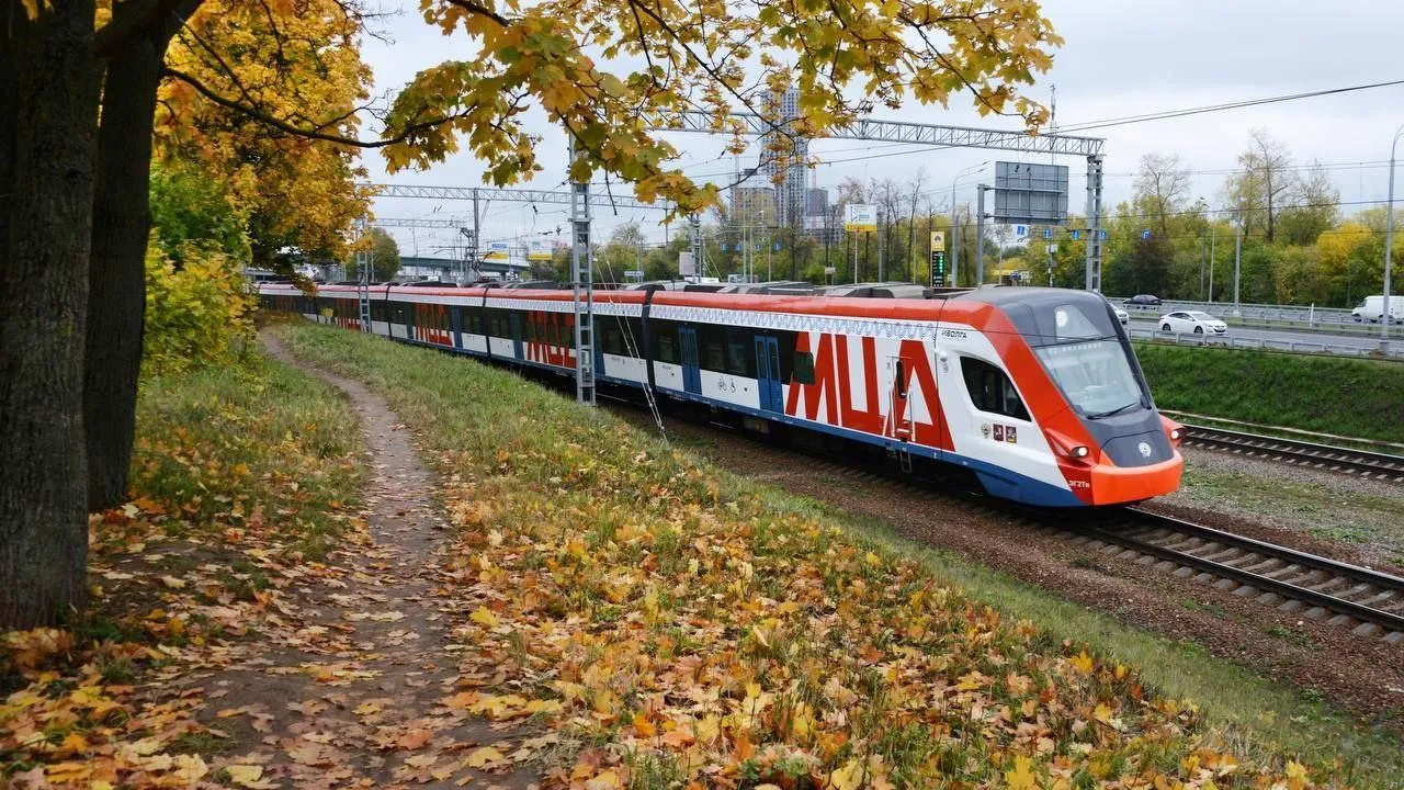 В Подмосковье снизилось число случаев травмирования на ж/д в 2024 году