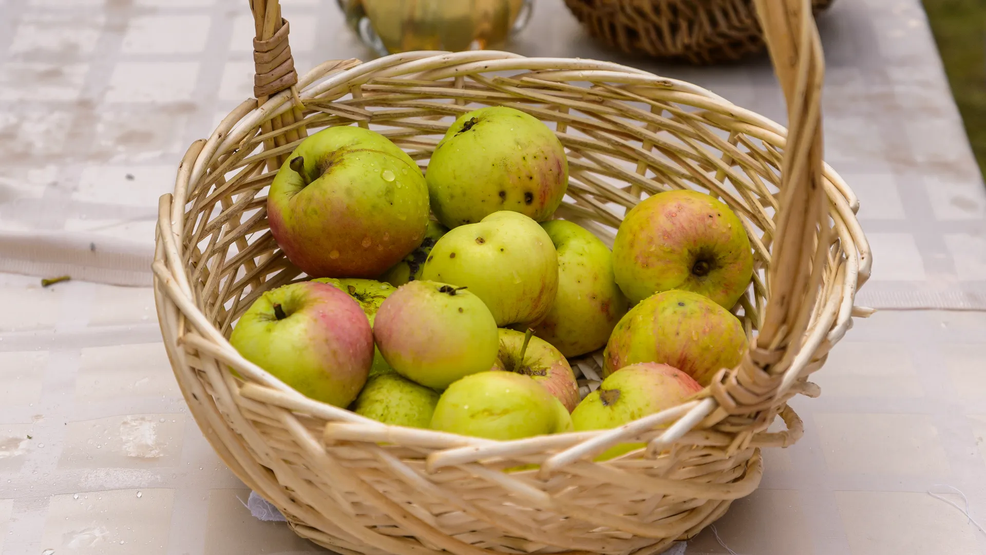 Экономист Морковкин спрогнозировал подорожание яблок в России