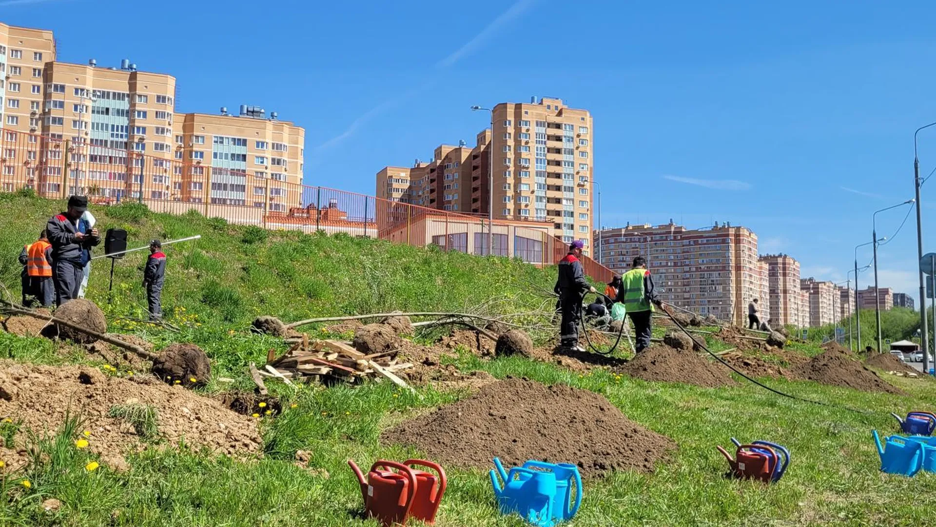 В ЖК «Зеленые аллеи» в Видном высадили более сотни деревьев | РИАМО