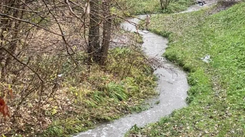 В Подмосковье рассказали об изменениях в Водном кодексе России с 1 сентября