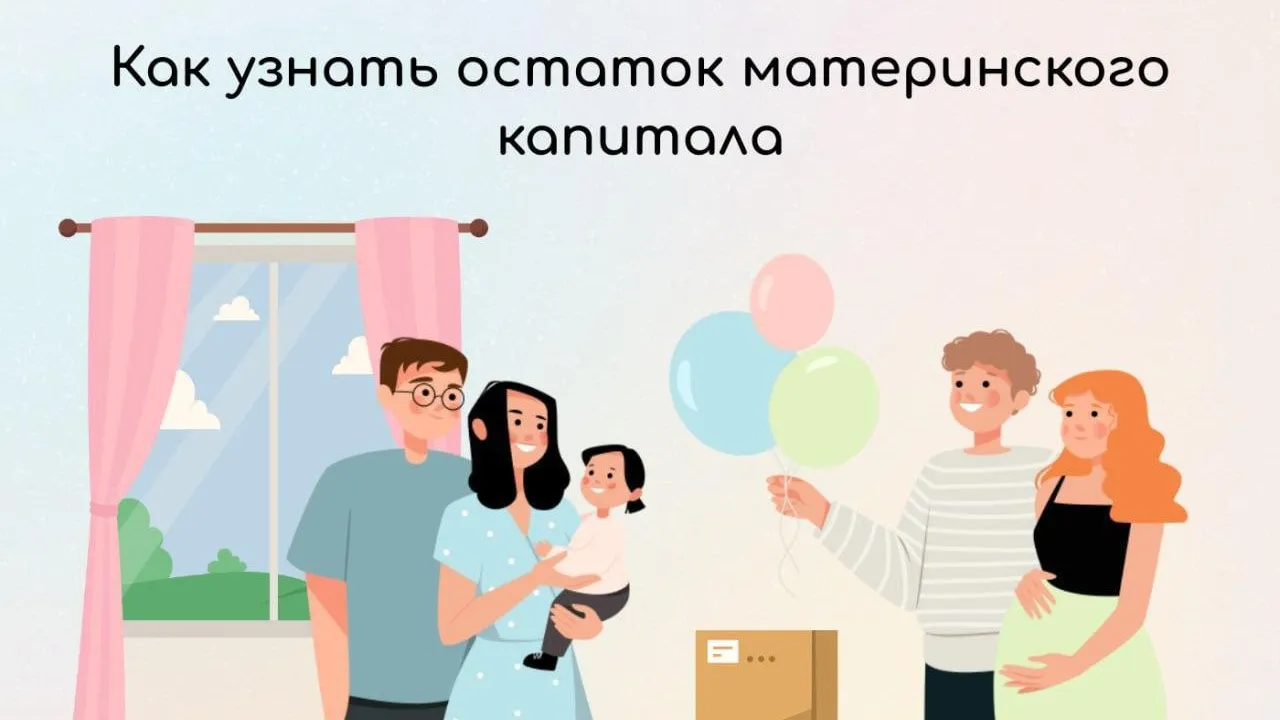 В Подмосковье объяснили, как узнать остаток материнского капитала