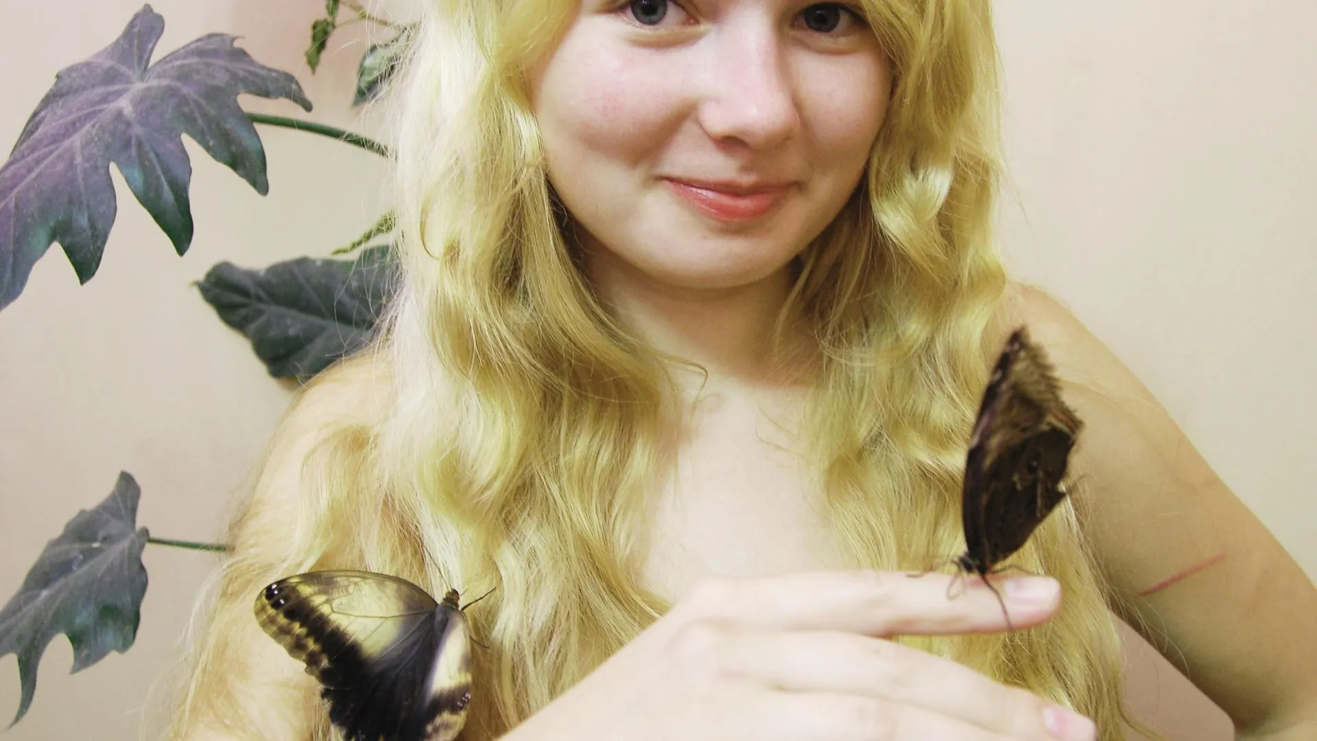 Выставка тропических бабочек откроется в Жуковском 3 ноября