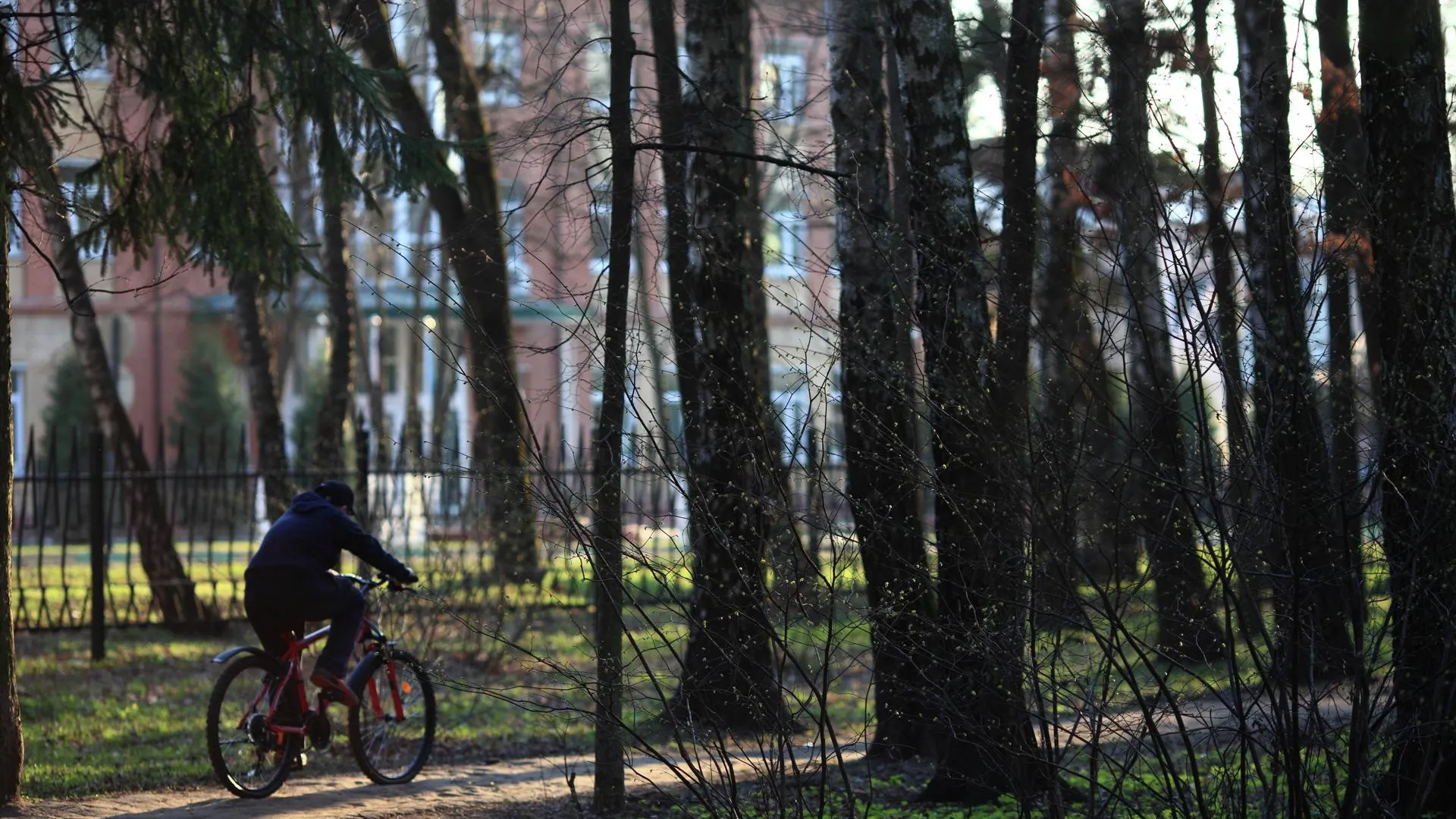 Фотобанк Московской области, Татьяна Воронцова