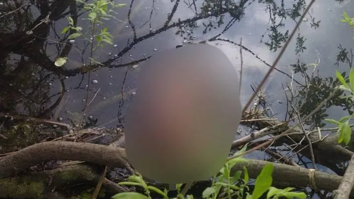 В реке района Кузьминки нашли тело новорожденного ребенка