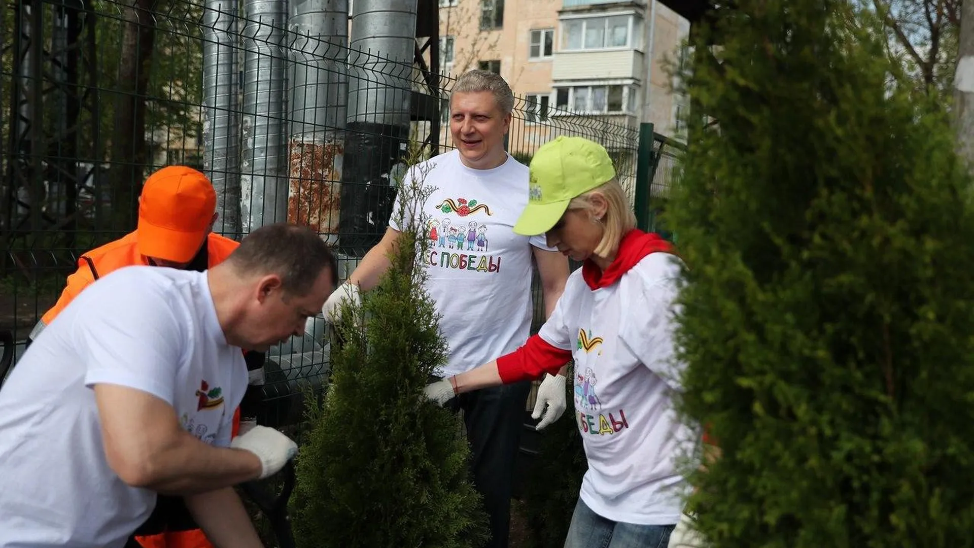 В Одинцовском округе в ходе акции «Лес Победы» высадили 1418 деревьев