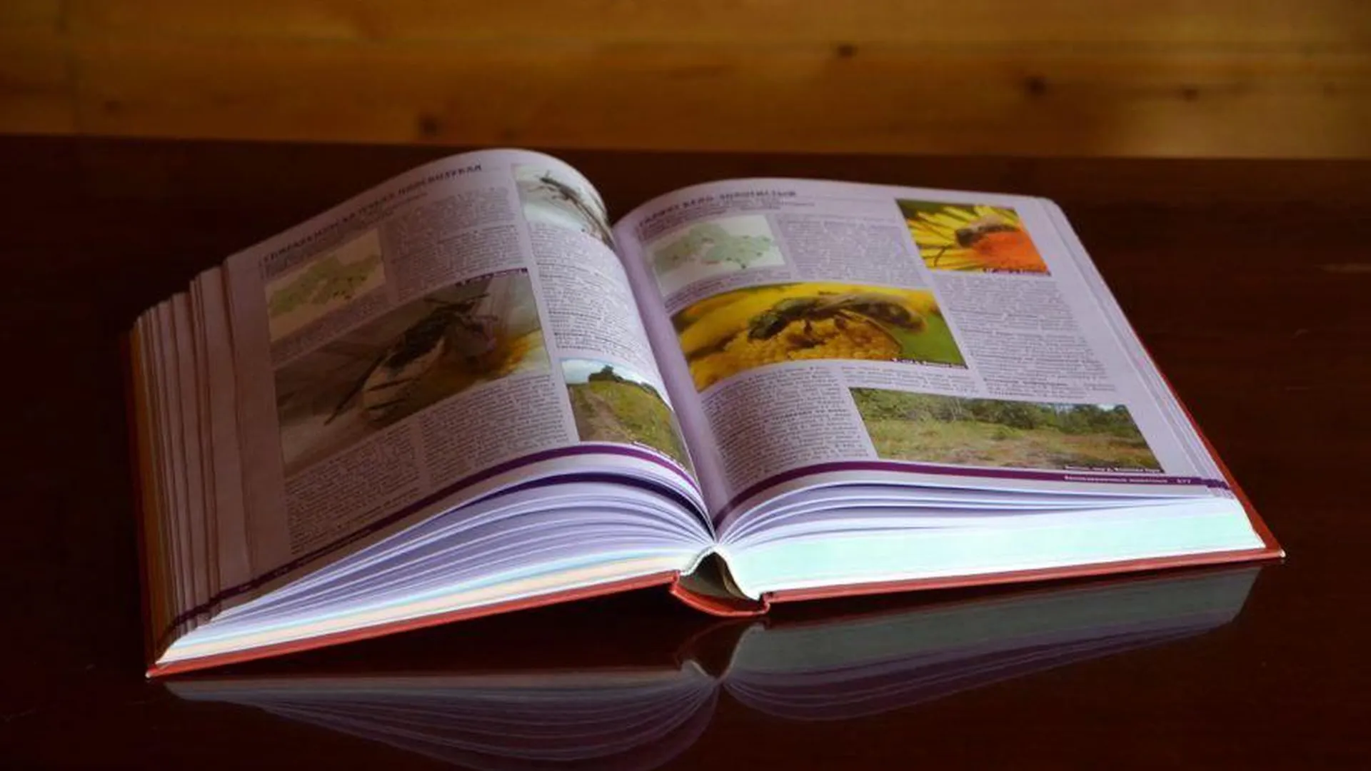 В Красной книге Подмосковья насчитывается 680 редких видов живых организмов
