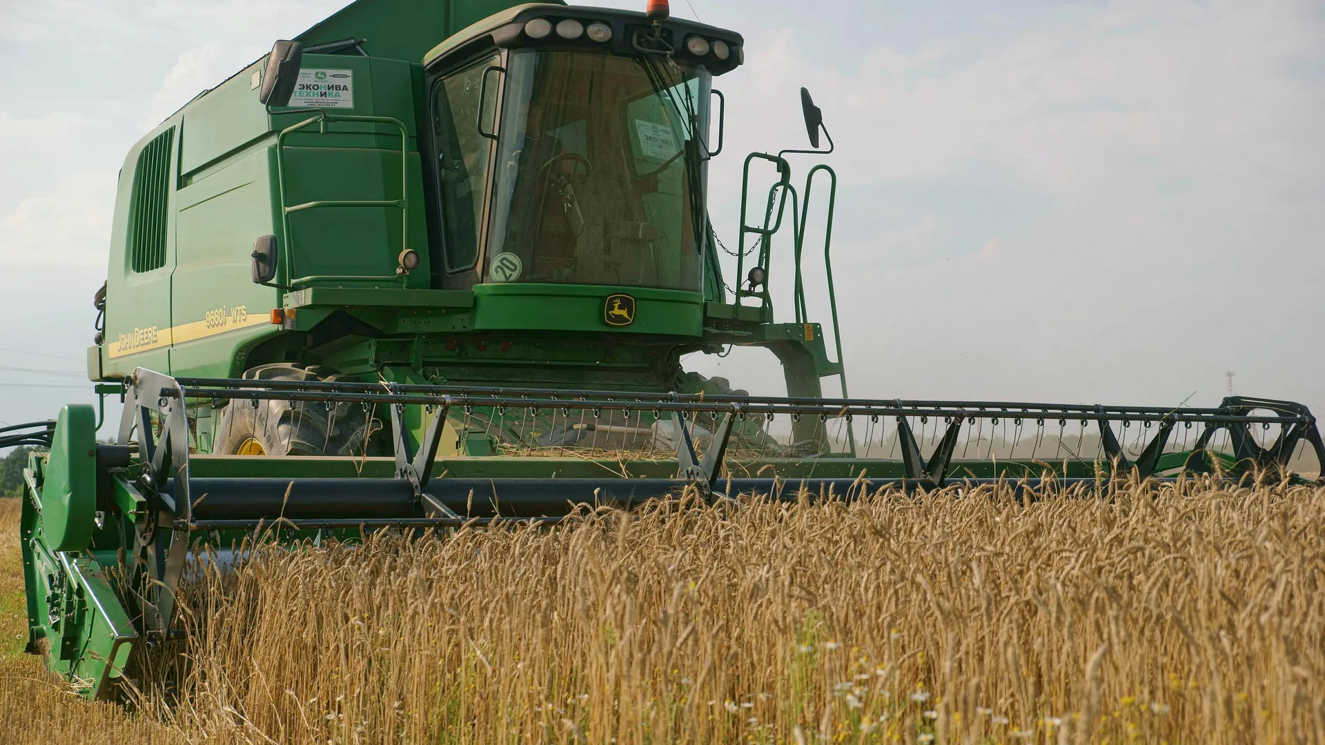 Майские холода в России повлияют на стоимость пшеницы на мировых рынках