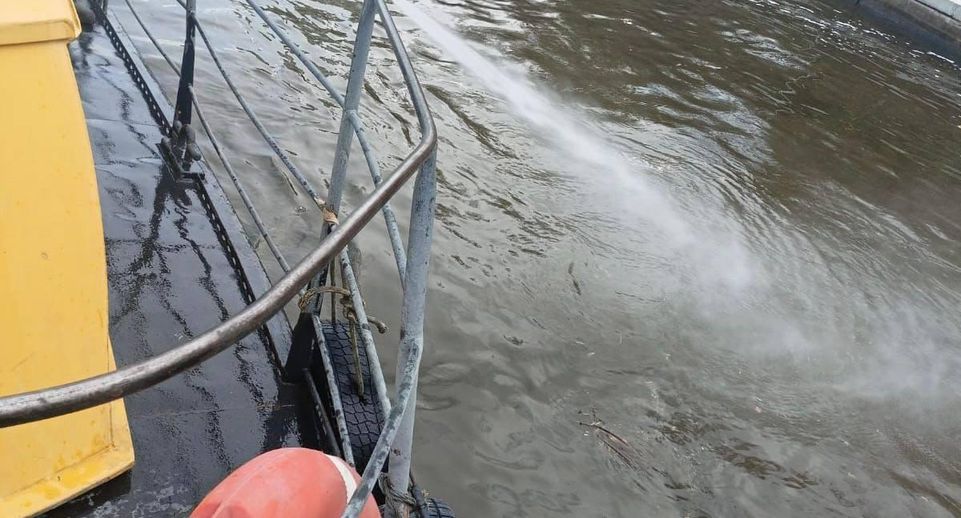 Прокуратура выясняет источник появления масляных пятен в Москве-реке