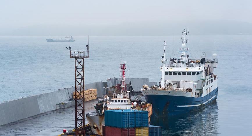 ВАРПЭ: вылов рыбы в Черном море вырос на 25%