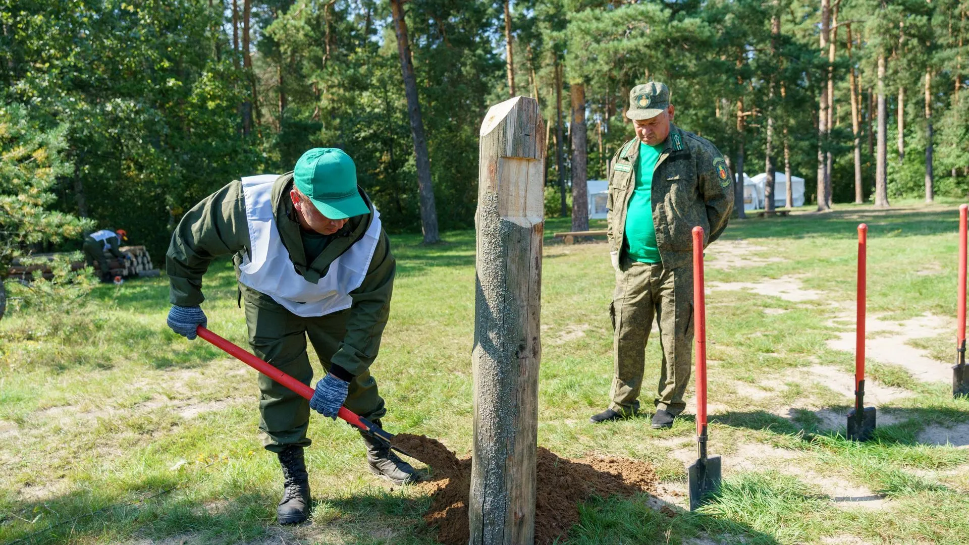 Лучшие лесники 2024 года определены в Подмосковье