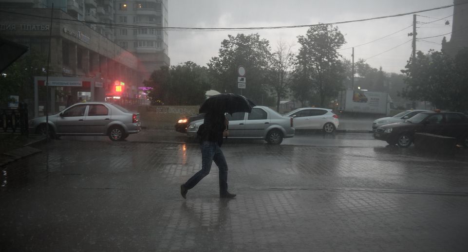 МЧС объявило экстренное предупреждение о грозе и ливнях в Москве