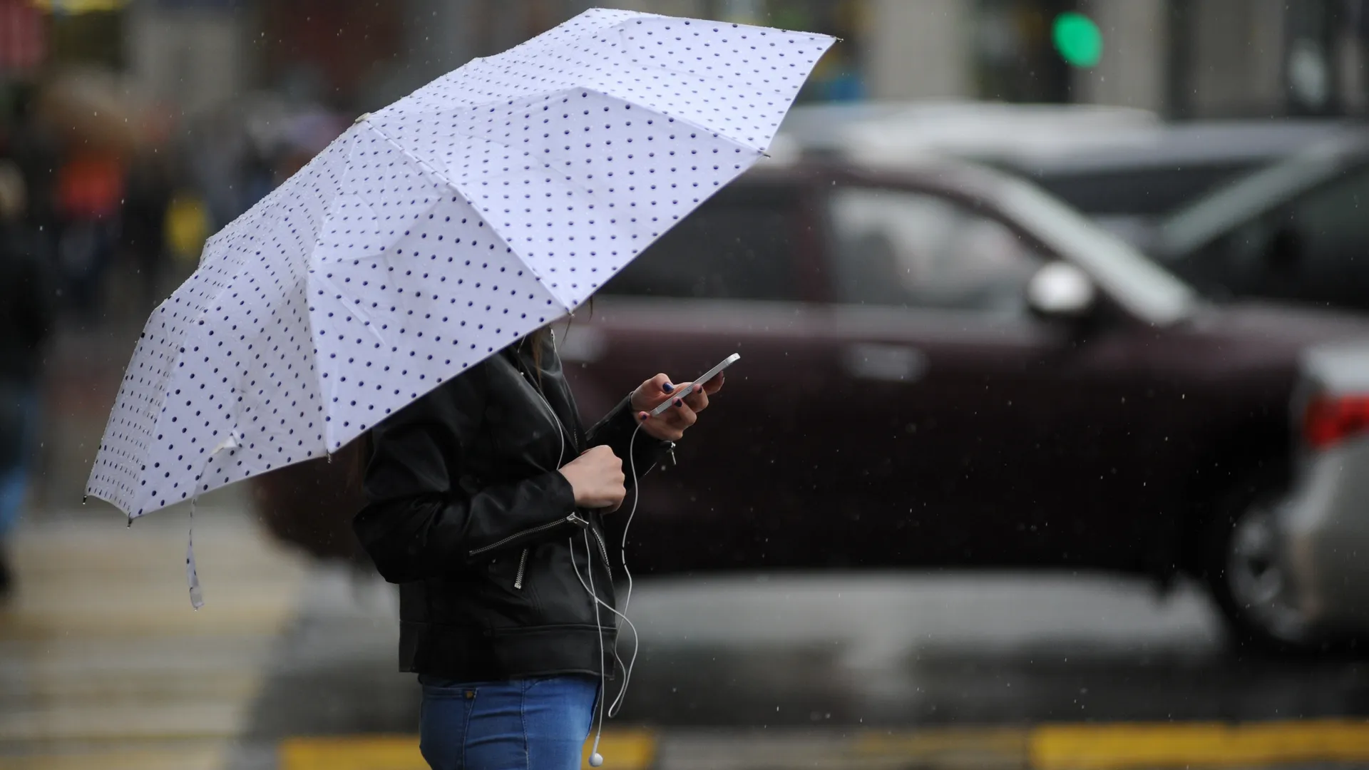 Дождливая и теплая погода ожидается в Московском регионе в четверг