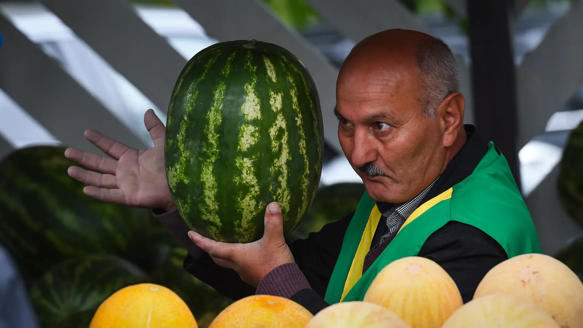 Отечественные арбузы и дыни в Мытищах можно будет купить с 1 августа | РИАМО