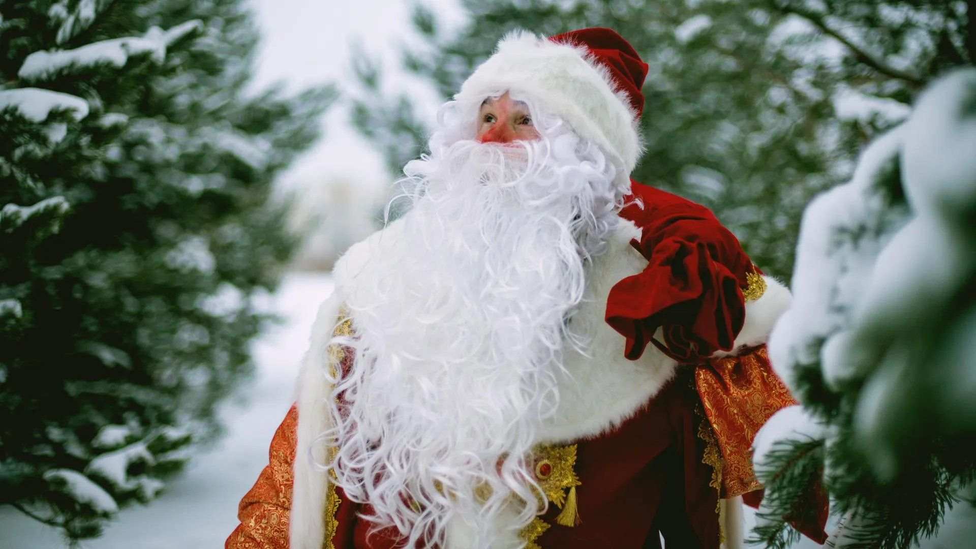 Письмо Деду Морозу: три истории о том, как сбываются детские мечты