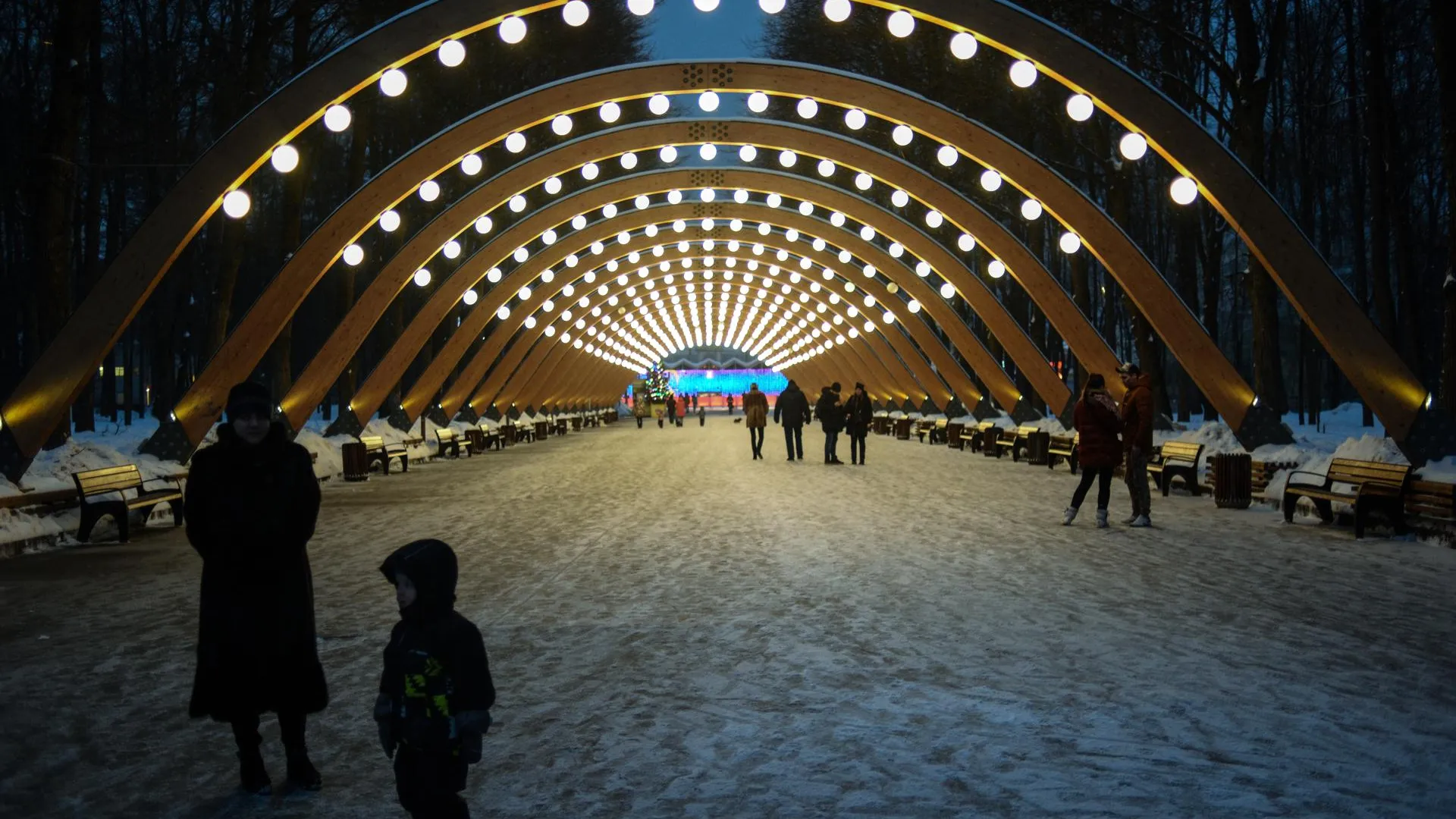 Москвичи выбрали любимые места для зимнего отдыха