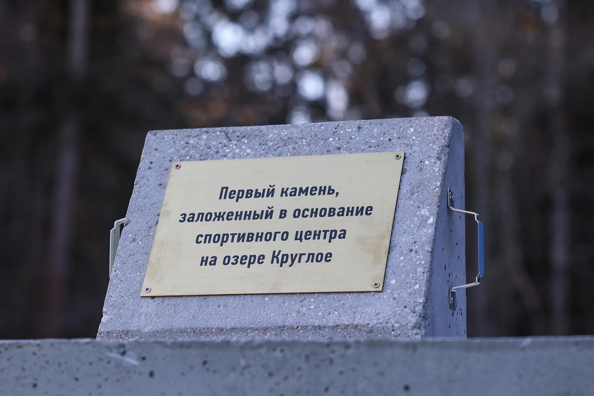 Екатерина Агеева