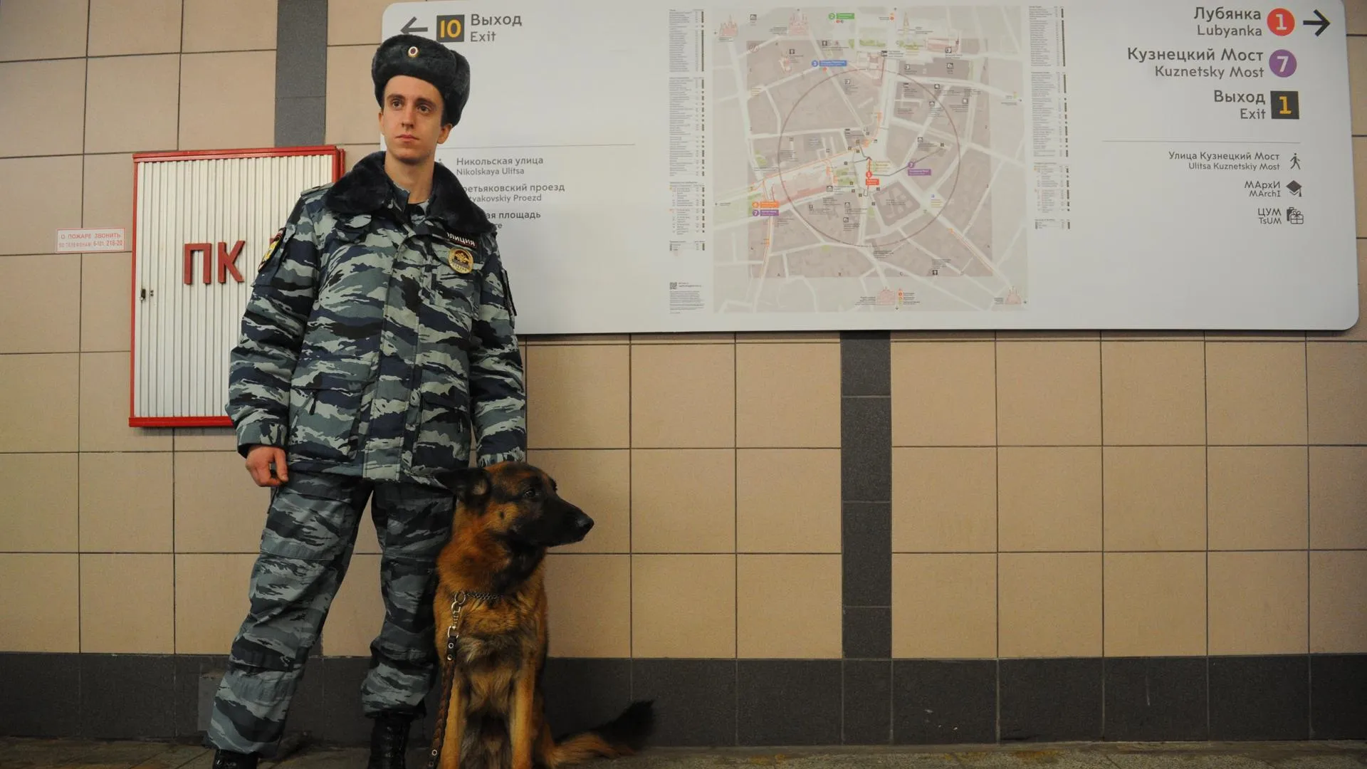 Метро Москвы продолжает работать в режиме усиленных мер безопасности