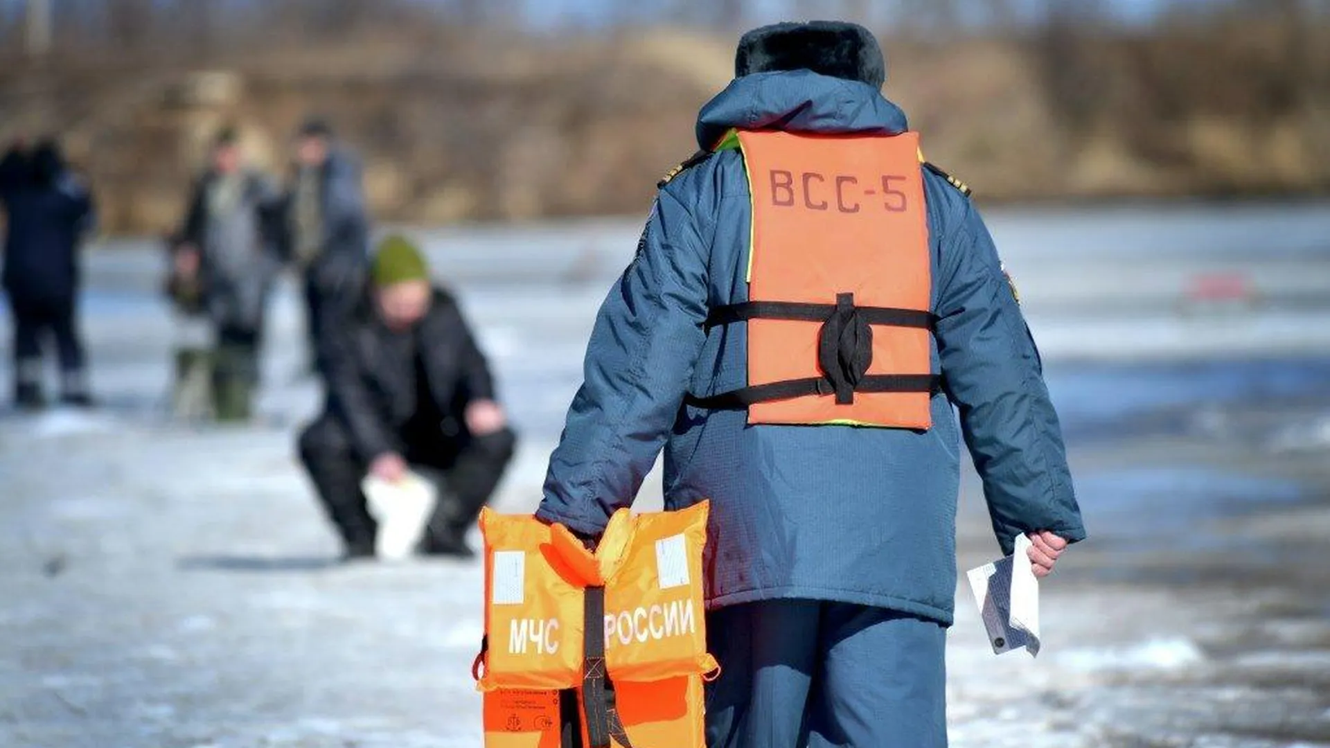 Воду в Новодевичьих прудах в Москве очистят и насытят кислородом 9 февраля