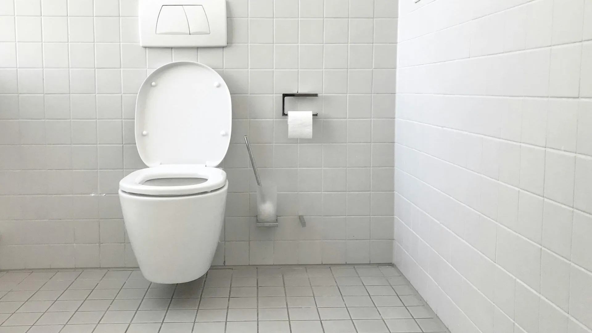 Mash: туалеты для трансгендеров в ЕС оказались рассадниками грибка и паразитов