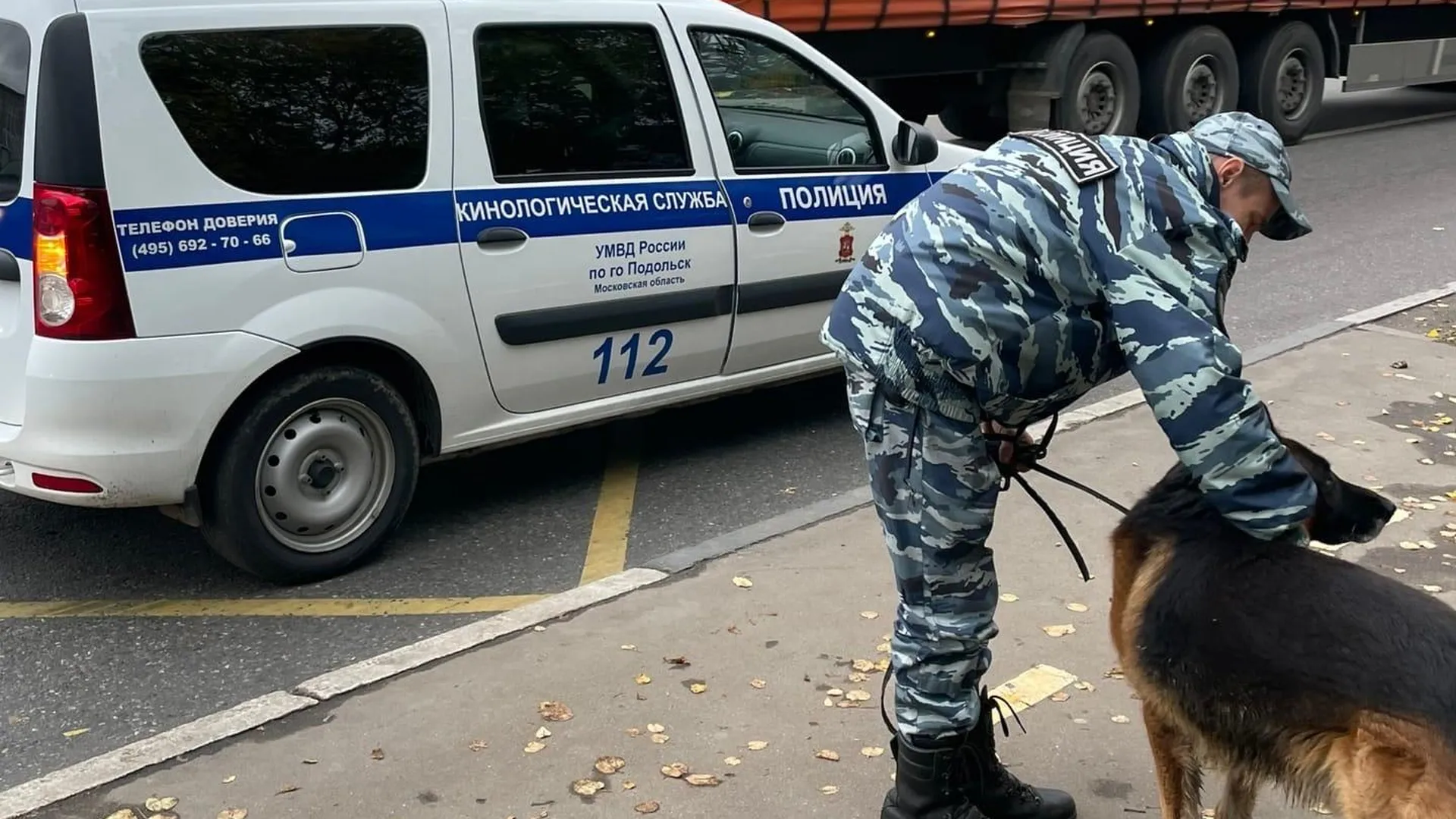 В Подольске кинологи забрали овчарку, которая пришла за хозяином в  военкомат | РИАМО