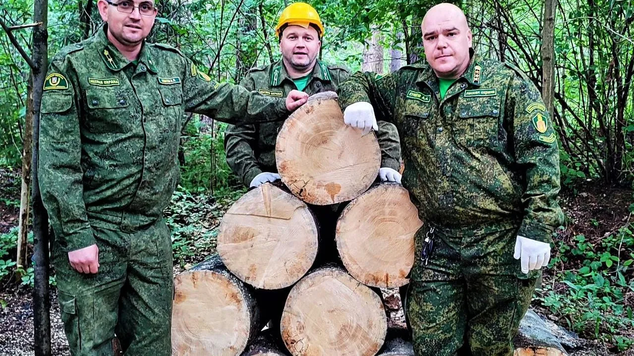 Экологическая акция «Чистый лес» прошла в Дмитровском округе