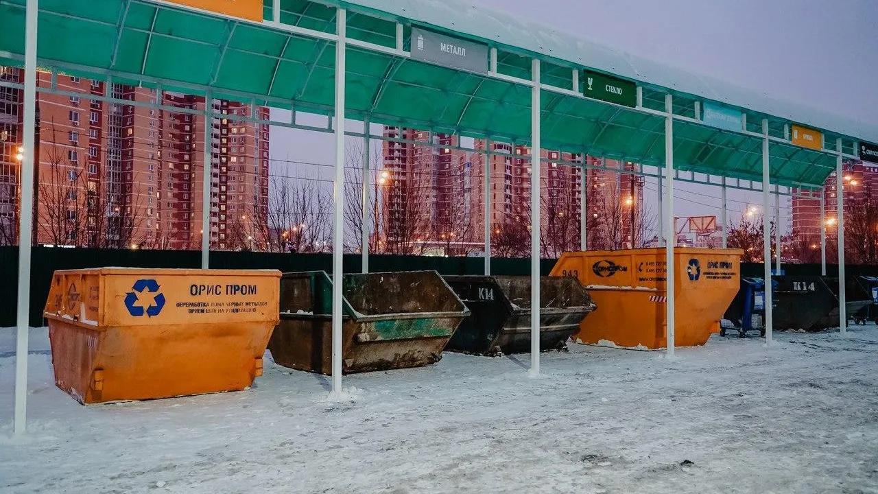 Жители Подмосковья на Новый год предпочитают искусственные ели живым деревьям